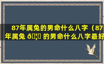 87年属兔的男命什么八字（87年属兔 🦍 的男命什么八字最好）